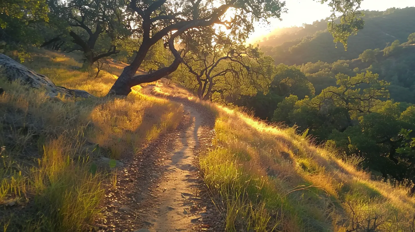 From Hikes to Hill Sprints: How to Add Intensity to Outdoor Cardio