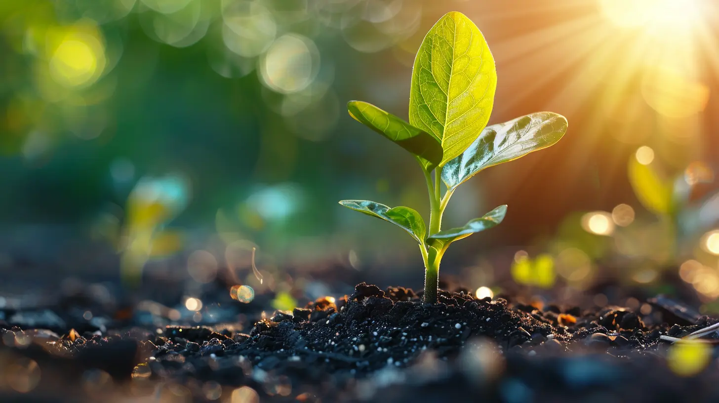 How to Build a Positive Mindset for Personal Growth
