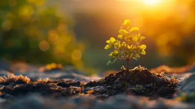 Building Emotional Resilience for Long-Term Well-Being