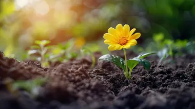 Cultivating Resilience Through Mindful Practices