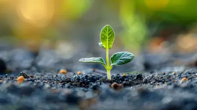 Cultivating Resilience Through Mindful Practices