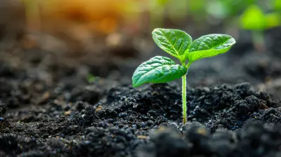 Cultivating Resilience Through Mindful Practices