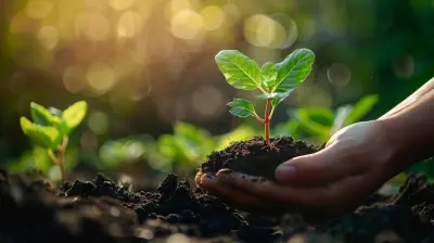 The Healing Power of Nature: Get Outside for Better Health