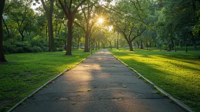 Transform Your Local Park Into a Personal Training Destination