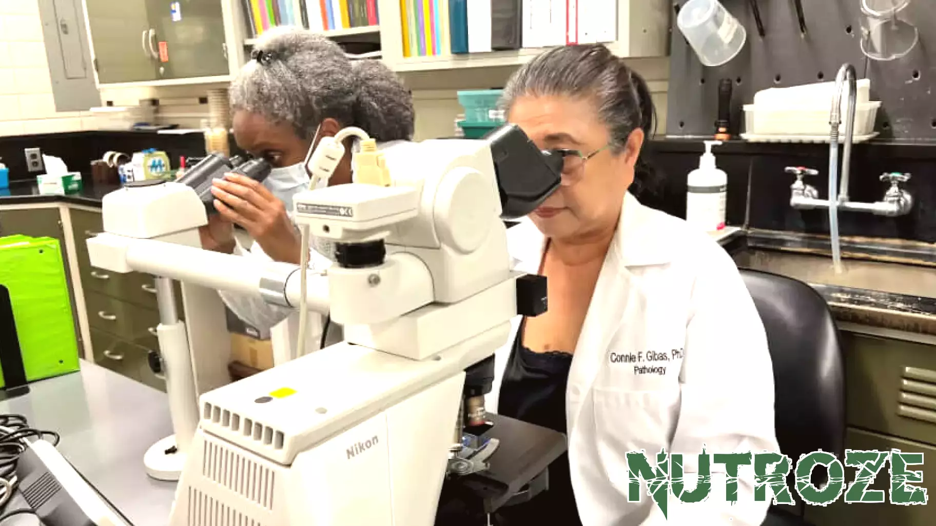 As Candida auris spreads, UT Health San Antonio scientist highlights growing threat of antifungal resistance