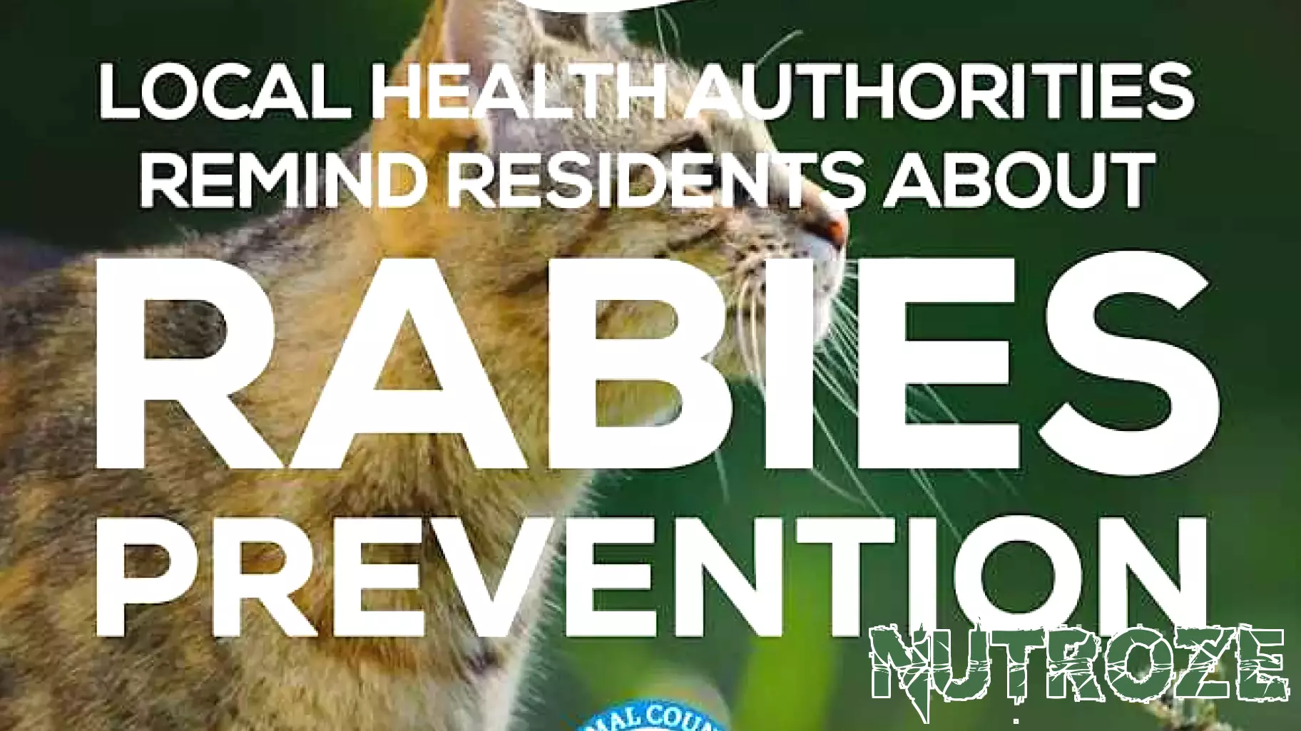 Caution Advised After Rabies Case in New Braunfels Cat