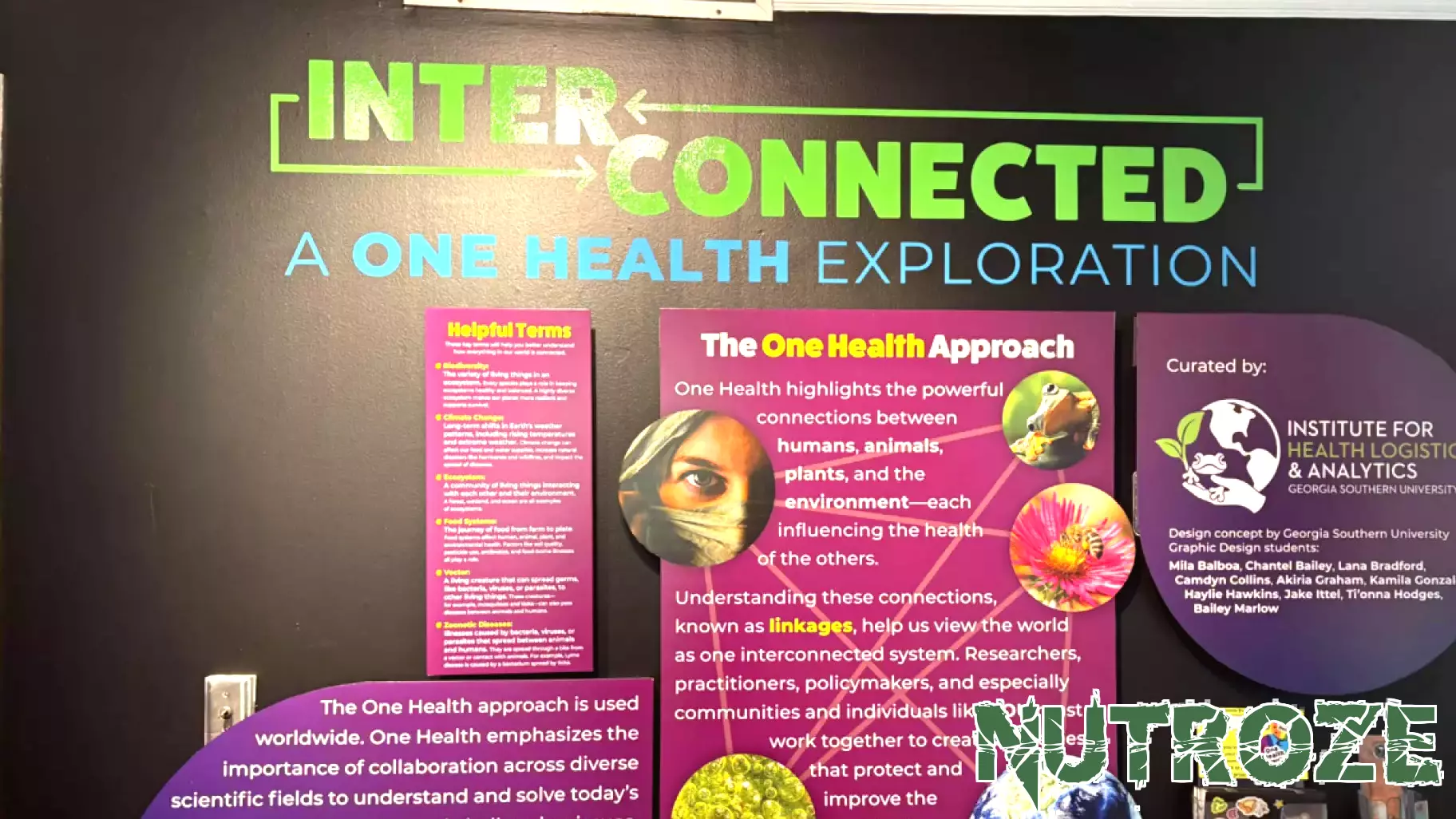 Discovering One Health: A Journey Through Human, Animal, and Environmental Connections
