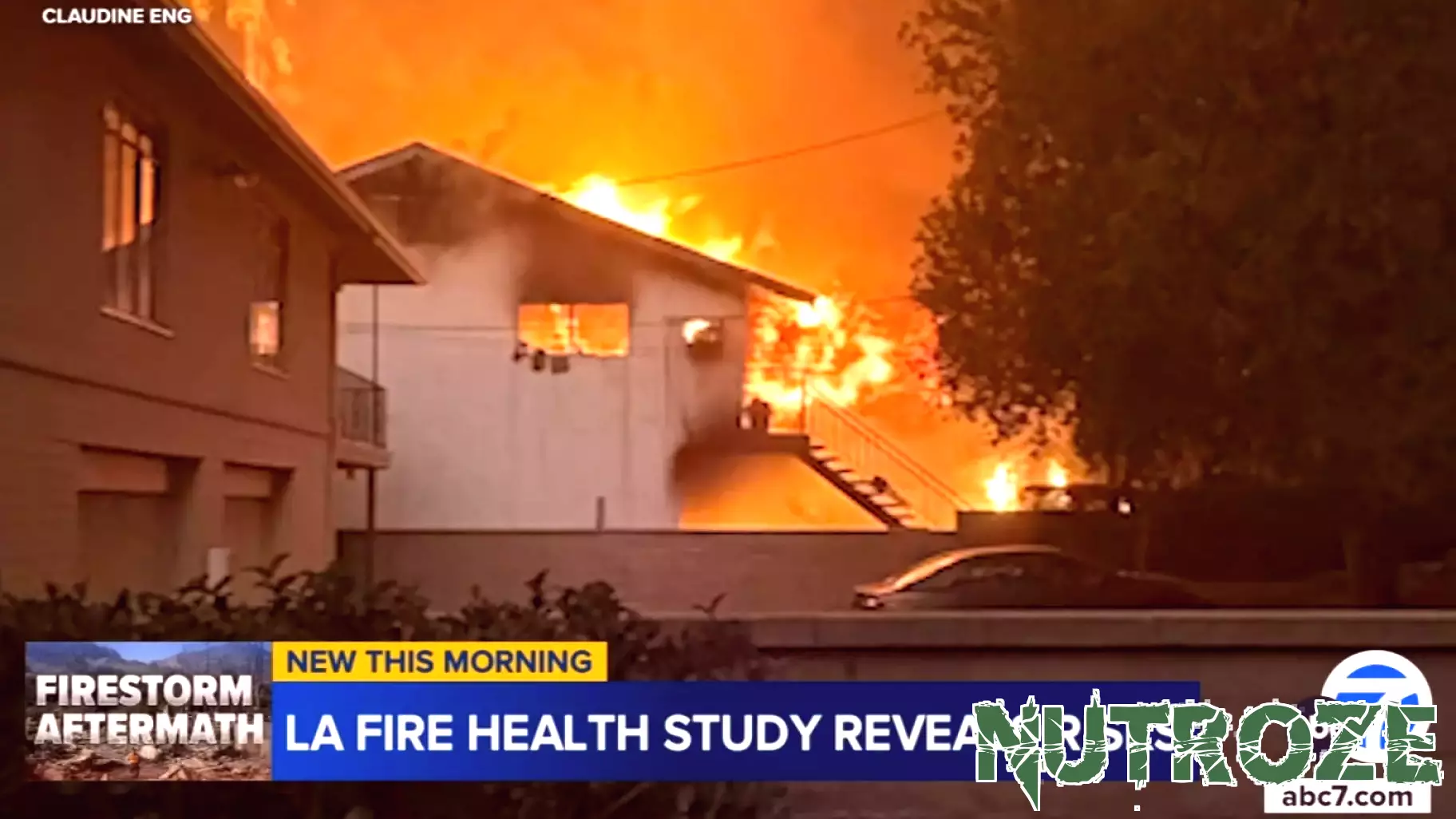 Health Impact of January Wildfires Revealed by New Study