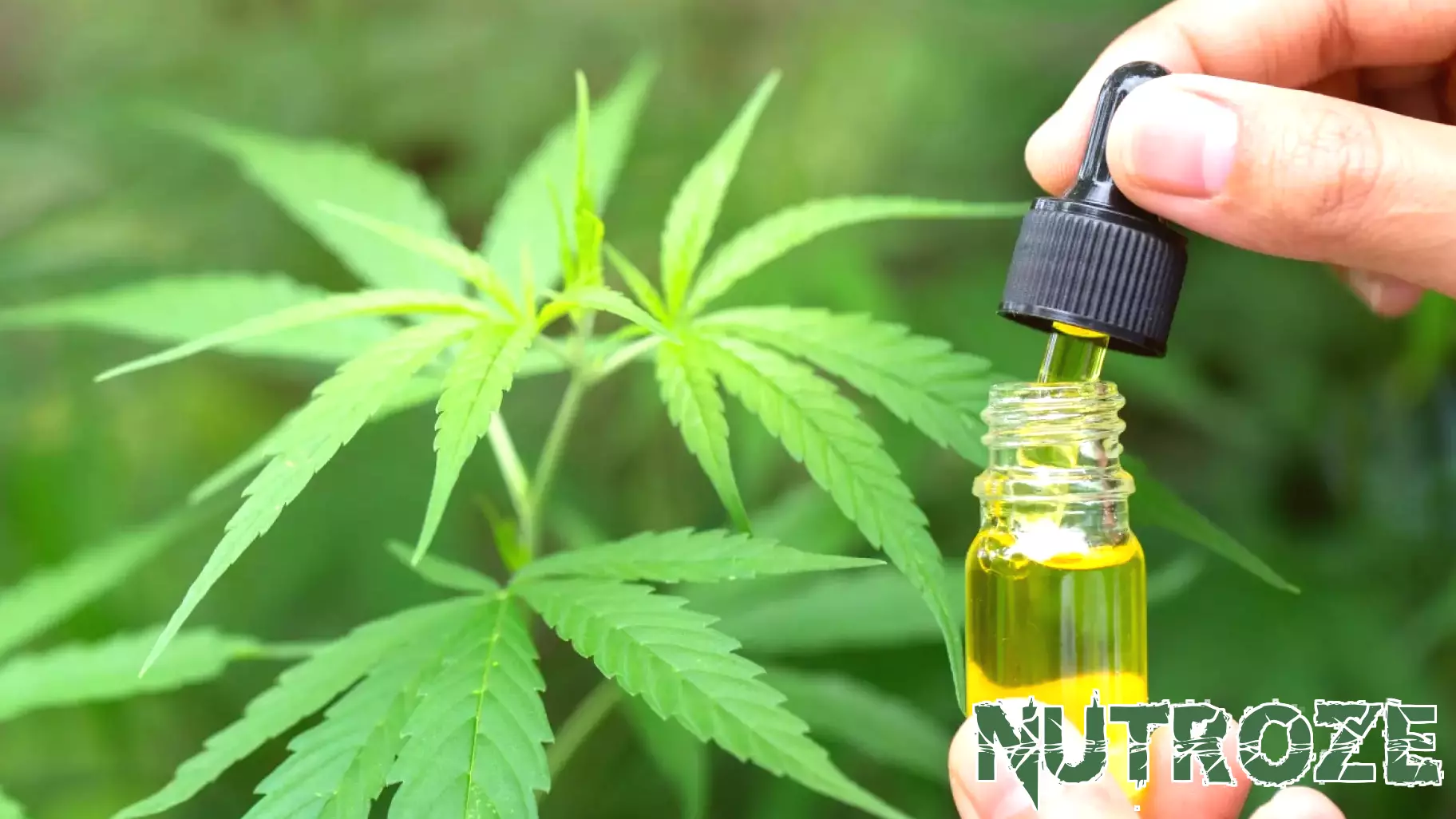 New Research Suggests Cannabis May Be More Effective Than Opioids for Back Pain