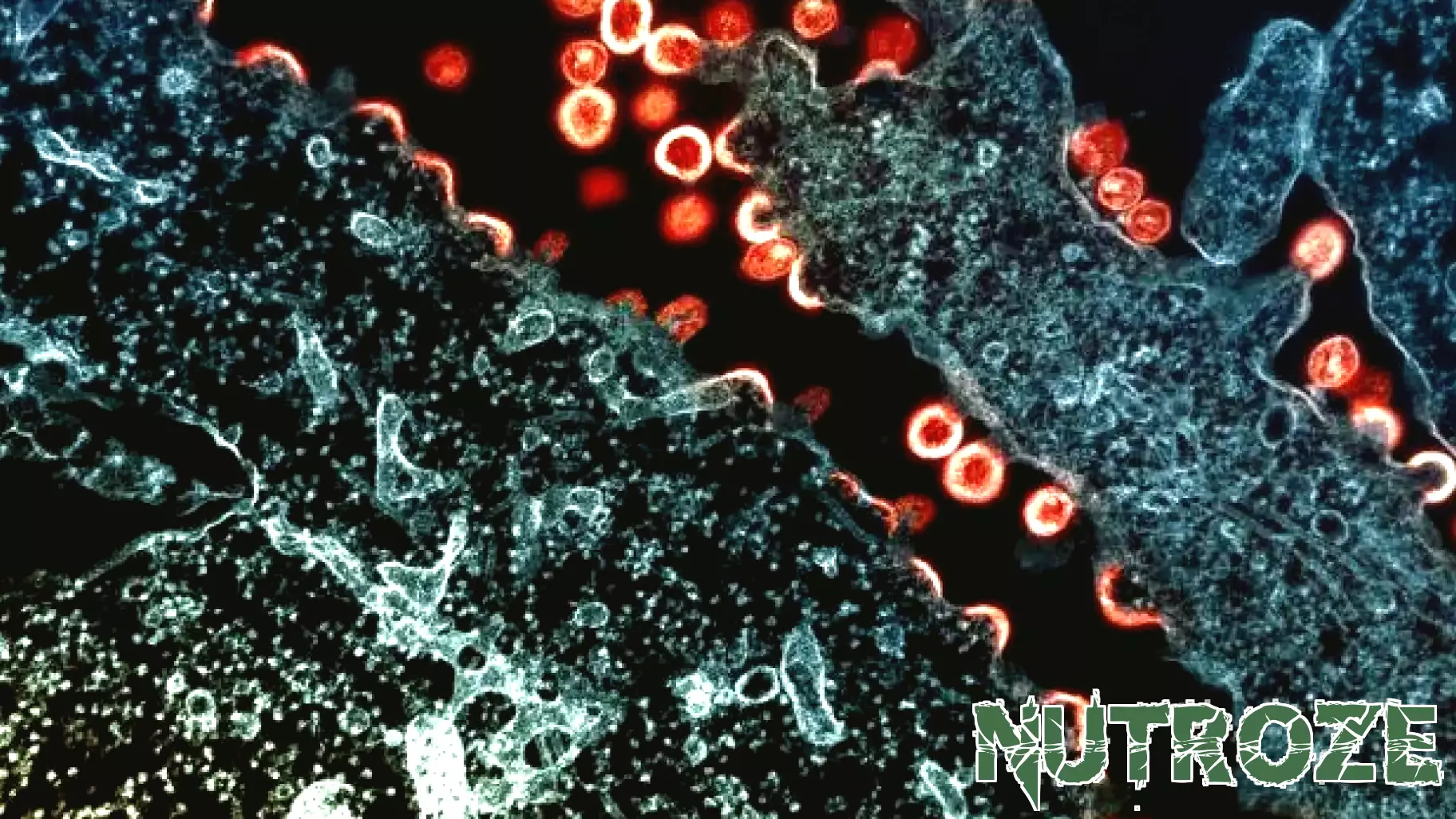 NIH-supported trial reduces HIV incidence by 70% in rural populations