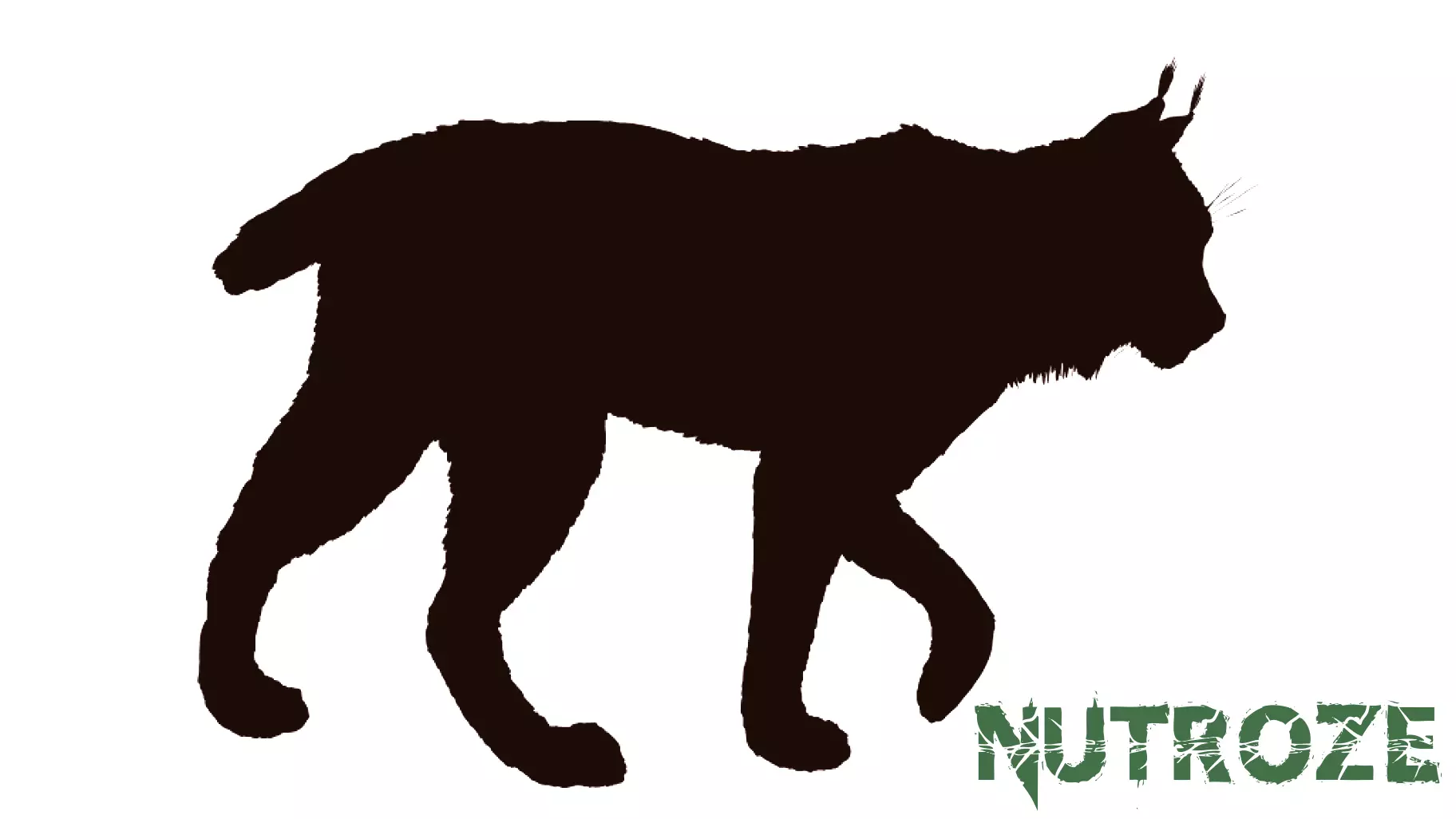 Rabies Alert Issued Following Bobcat Attack in Liberty County