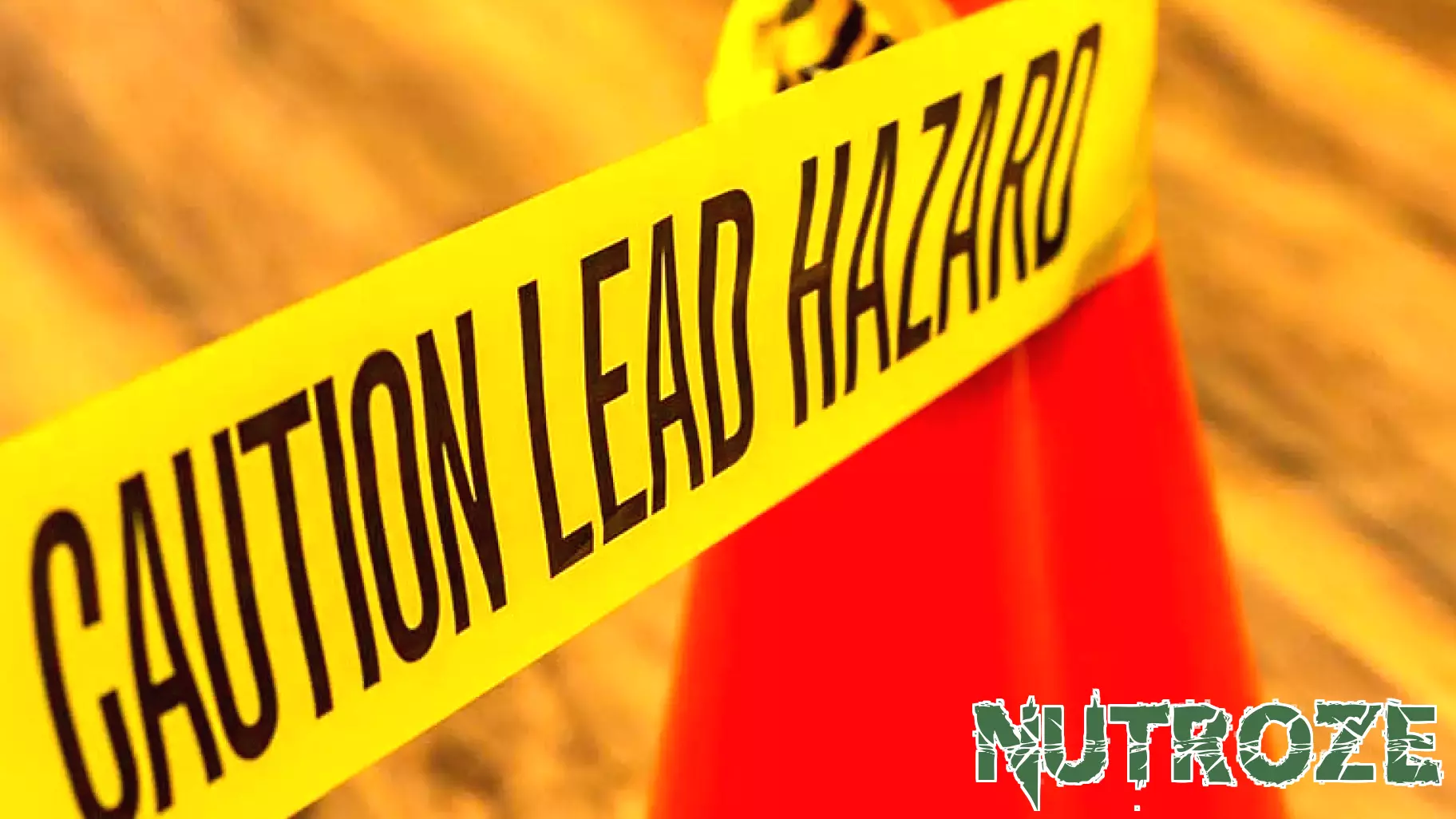 Safeguarding Children from Lead Poisoning: A Call to Action