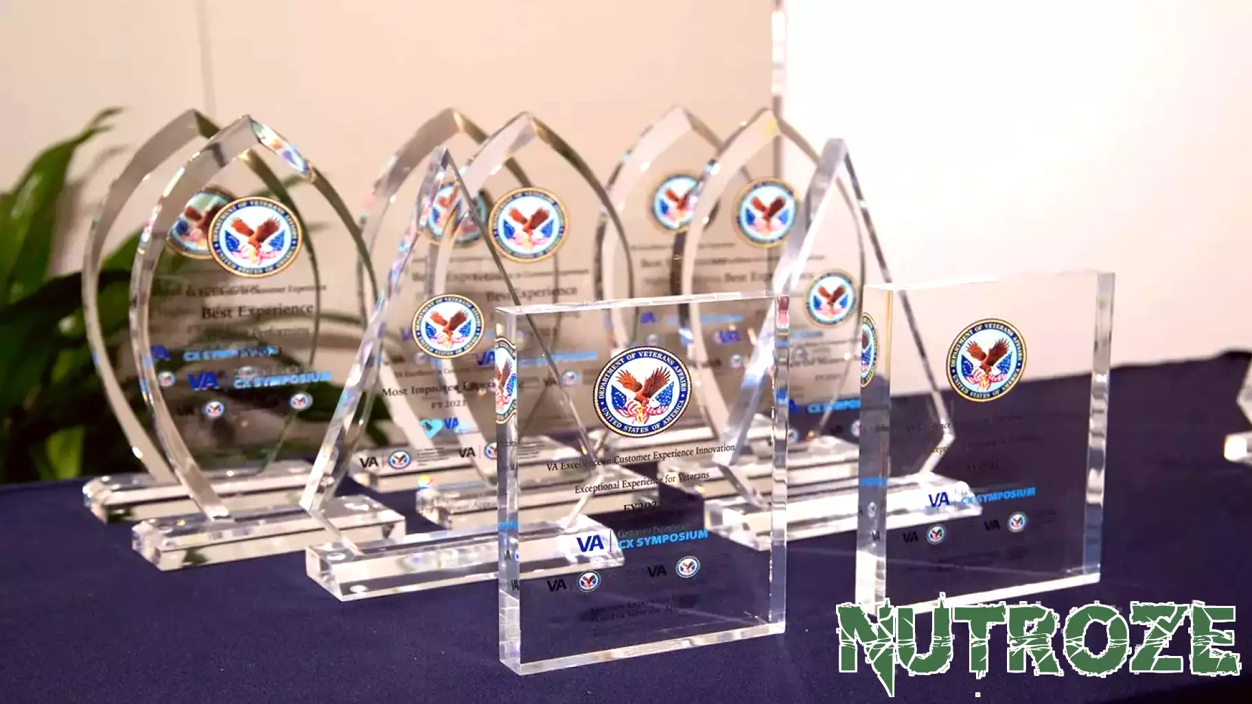 VA announces winners of the 2025 Veterans Health Administration Patient Experience Awards