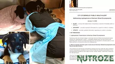 Bay Area veterinarians report spike in deadly, contagious disease affecting dogs