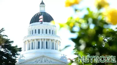 California Lawmakers Explore Tax on Major Corporations to Fund Healthcare