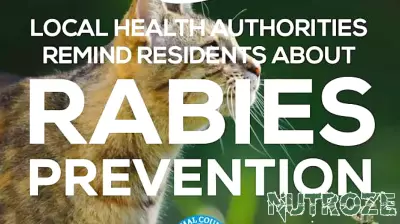 Caution Advised After Rabies Case in New Braunfels Cat