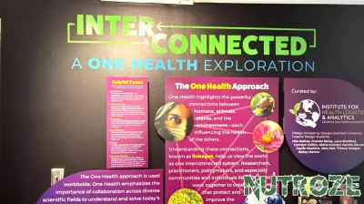 Discovering One Health: A Journey Through Human, Animal, and Environmental Connections