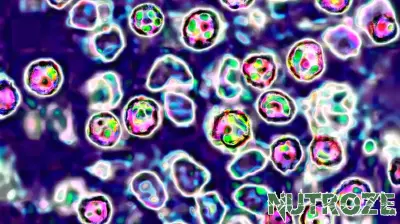 Health Authorities Track Contacts of Measles Case in Fulton County