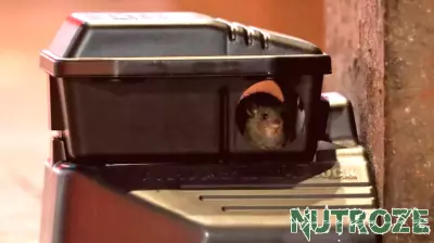 Health Department Closes Multiple Restaurants in Los Angeles County