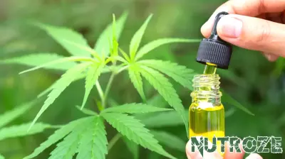 New Research Suggests Cannabis May Be More Effective Than Opioids for Back Pain