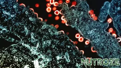 NIH-supported trial reduces HIV incidence by 70% in rural populations