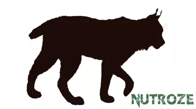 Rabies Alert Issued Following Bobcat Attack in Liberty County