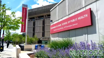 Research Connects Wildfires to Rising Mental Health Issues