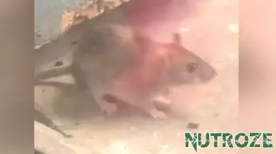 Residents raise health concerns at Northeast Houston apartment complex