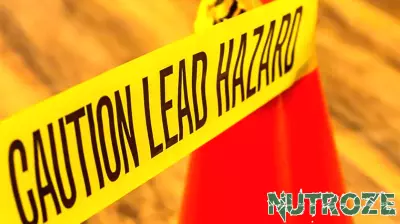 Safeguarding Children from Lead Poisoning: A Call to Action
