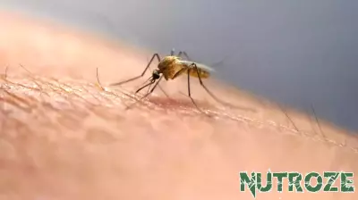 Zika Virus Case Confirmed in Popular Hawaiian Destination